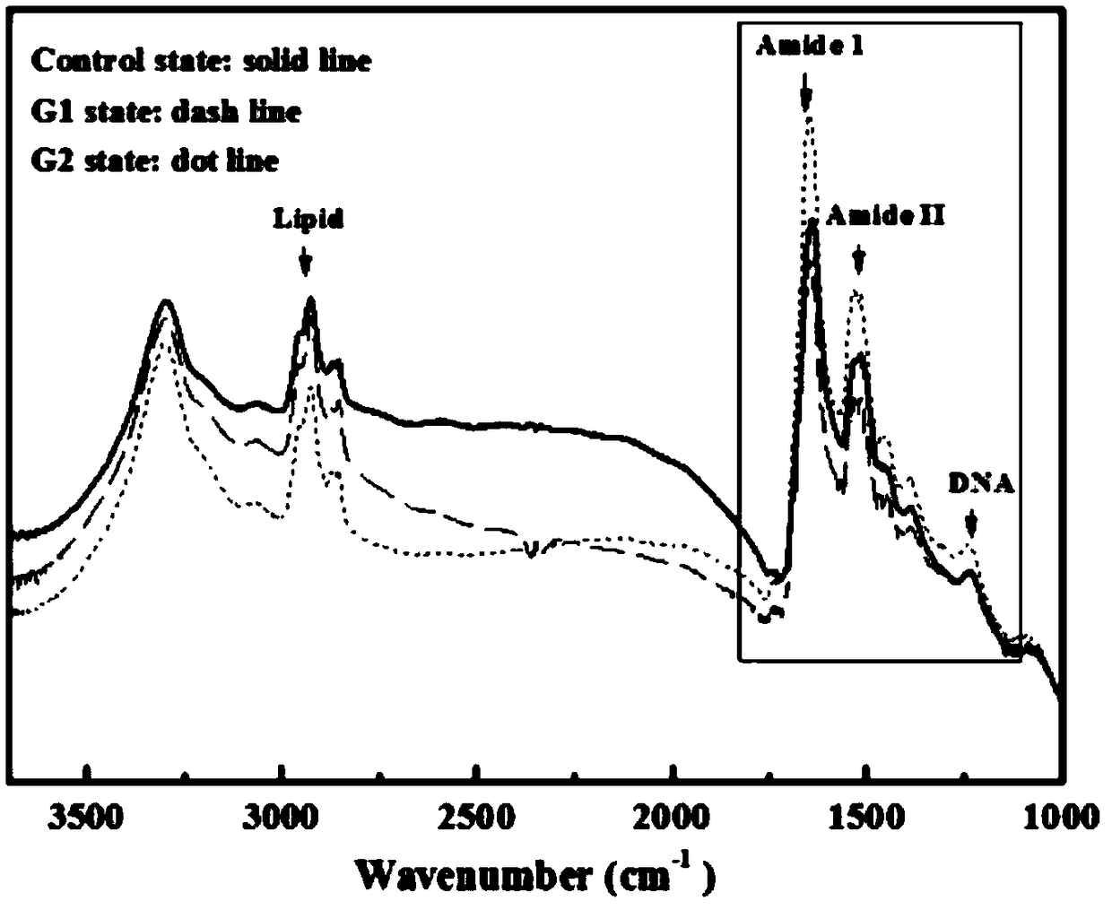 Method for detecting cyclic forms of cancer cells