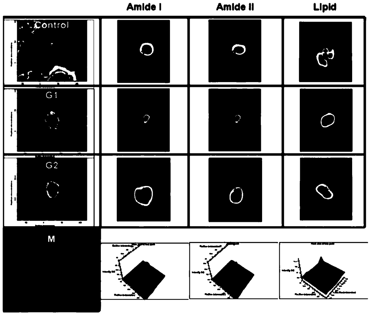 Method for detecting cyclic forms of cancer cells