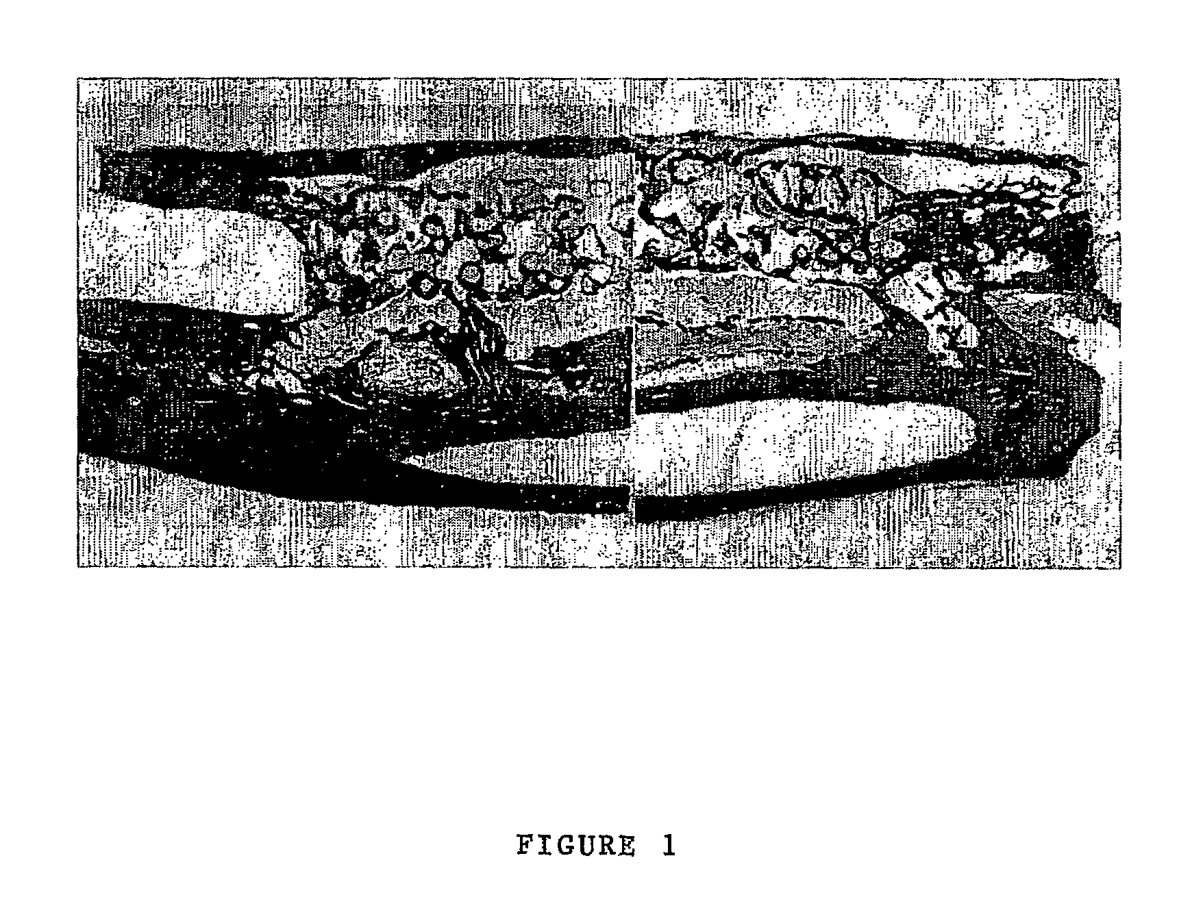 Connective tissue stimulating peptides