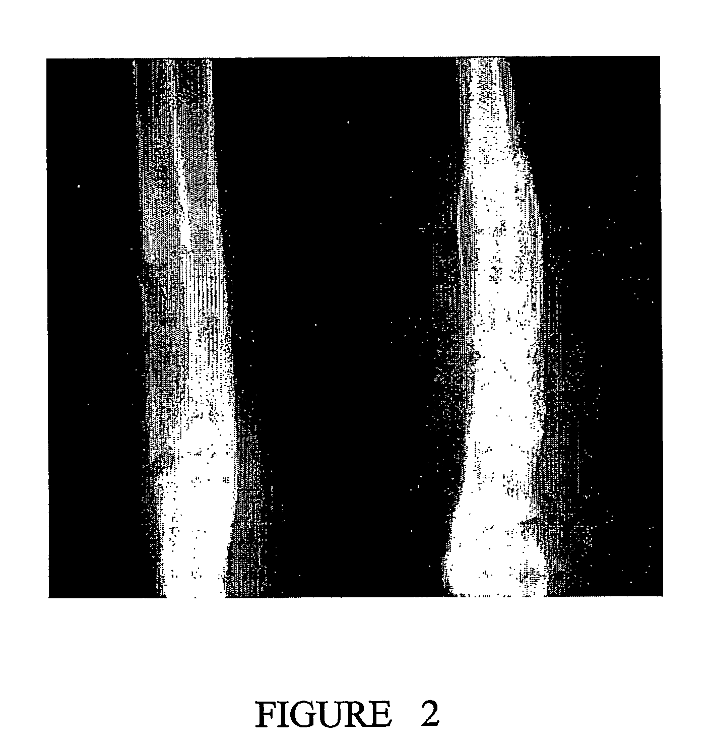 Connective tissue stimulating peptides