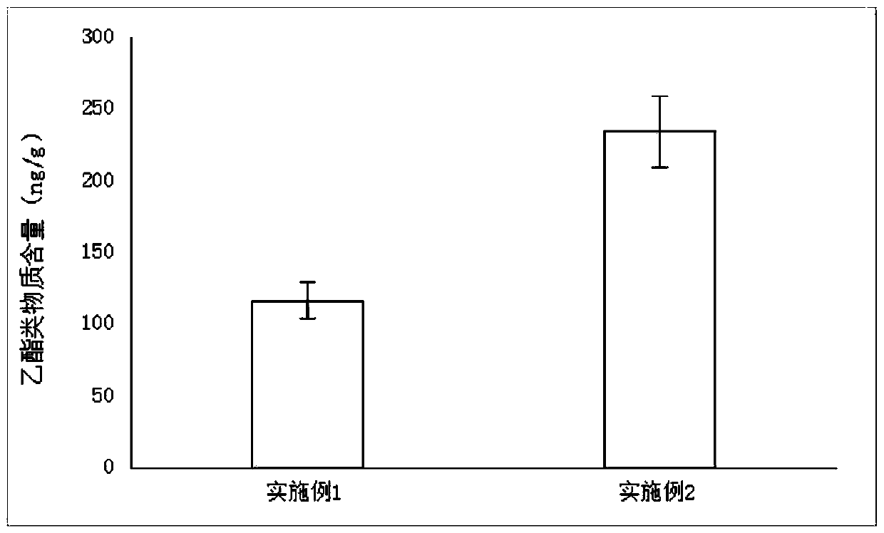 A kind of Lactobacillus plantarum with high yield of ethyl caprate and application thereof