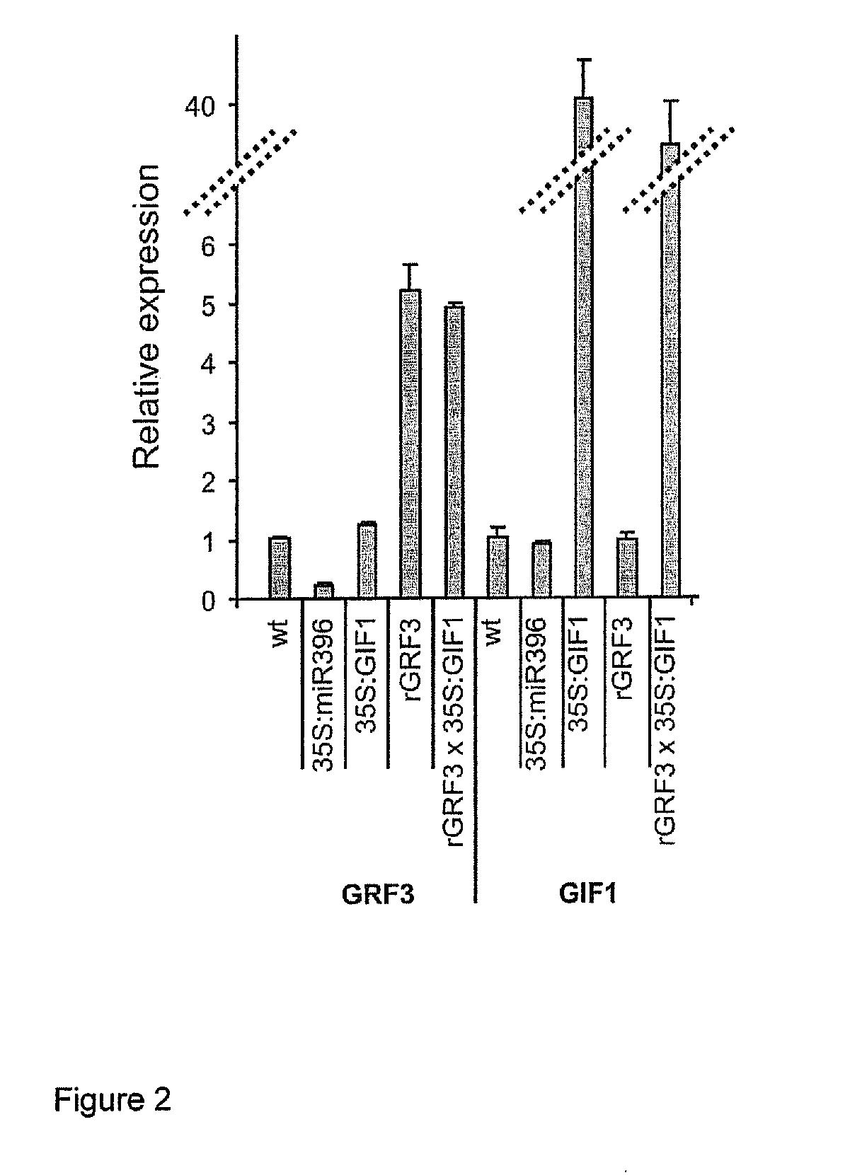 GRF3 mutants, methods and plants