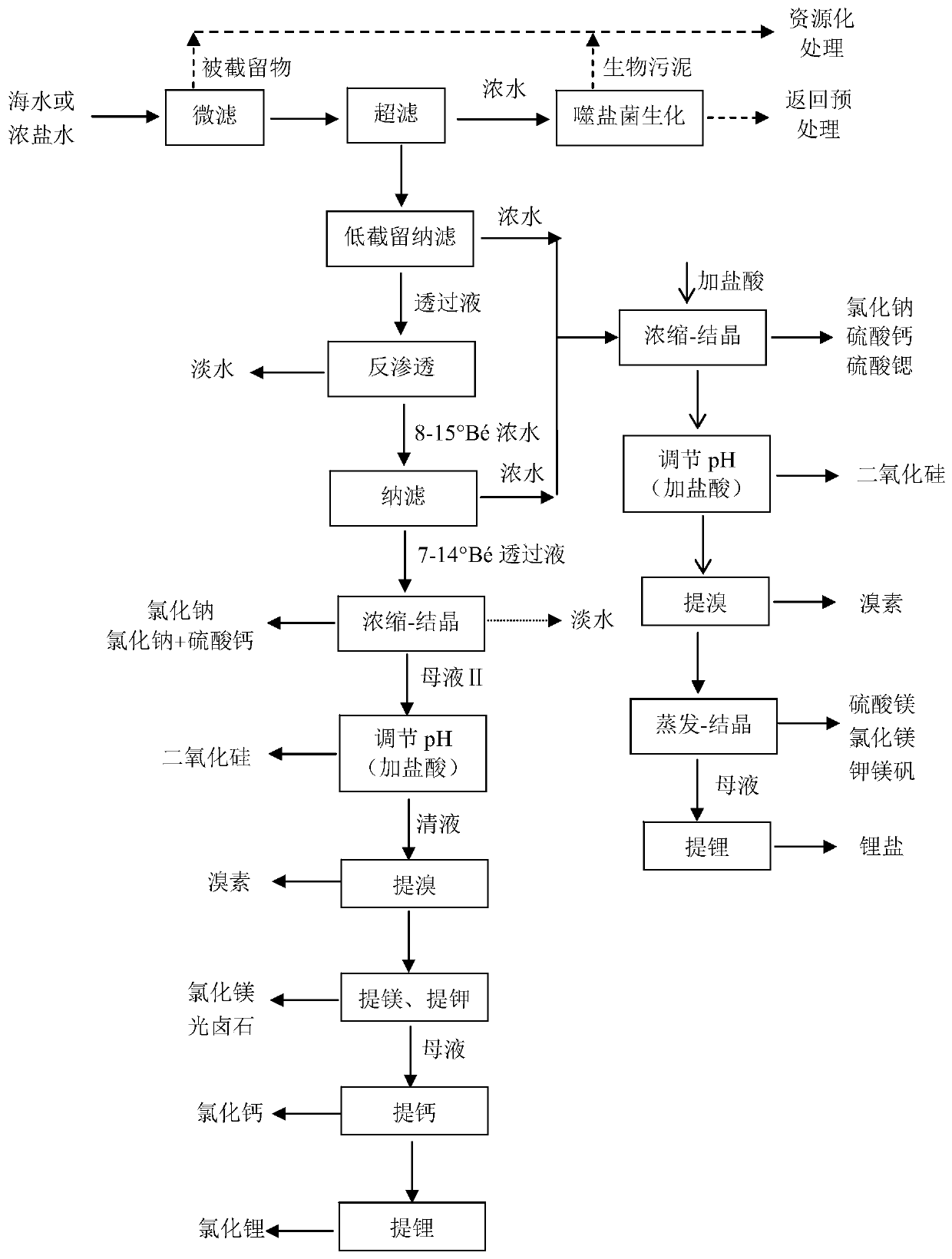 Comprehensive treatment method of seawater or strong brine