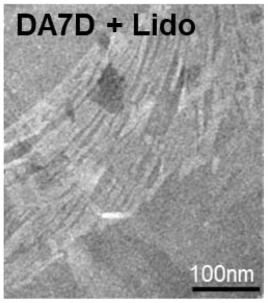 Self-assembled oligopeptide capable of inducing biological mineralization of local anesthetic and long-acting local anesthetic and analgesic pharmaceutical preparation prepared from self-assembled oligopeptide