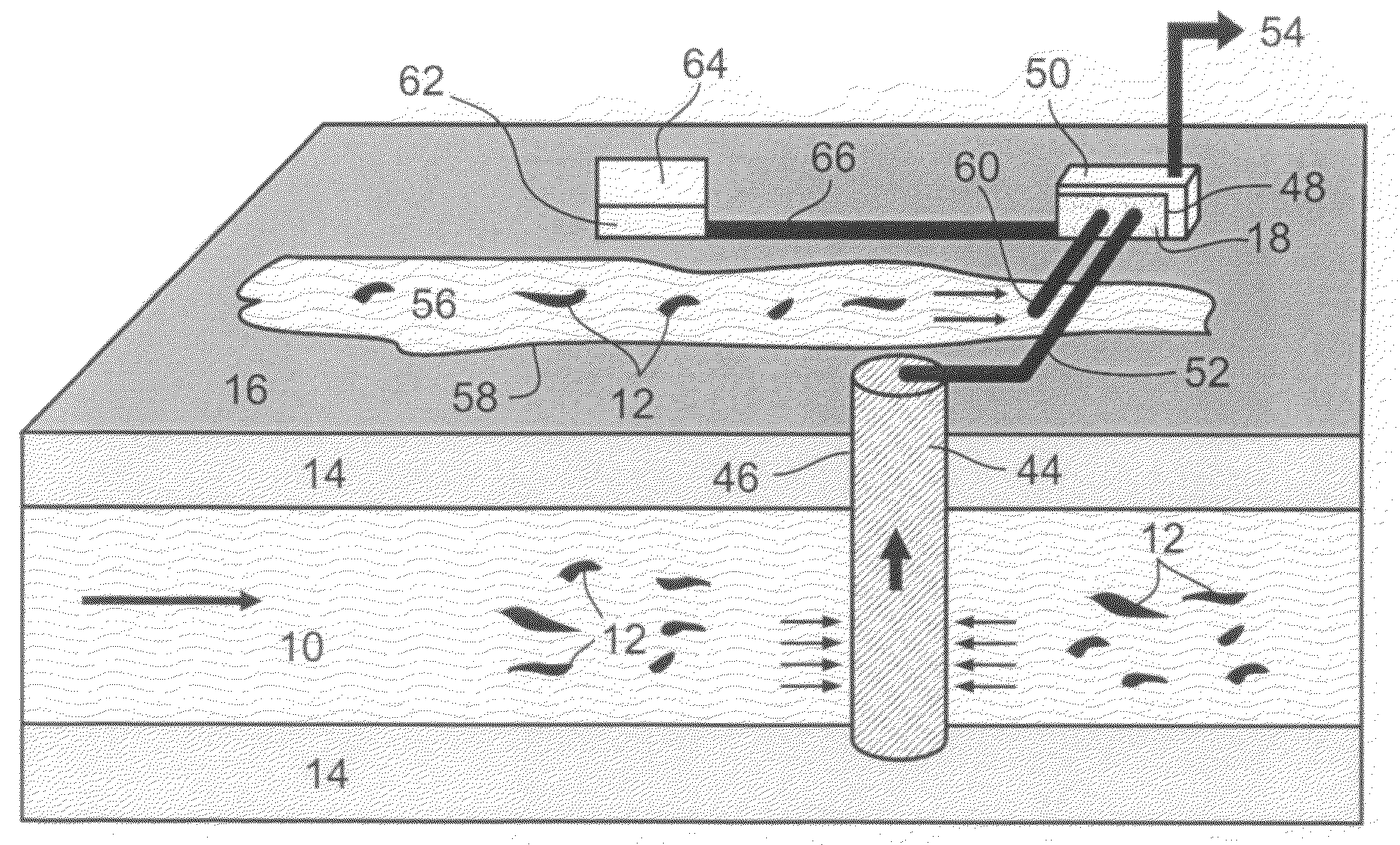 Catalytically Treating Water Contaminated With Halogenated Organic Compounds