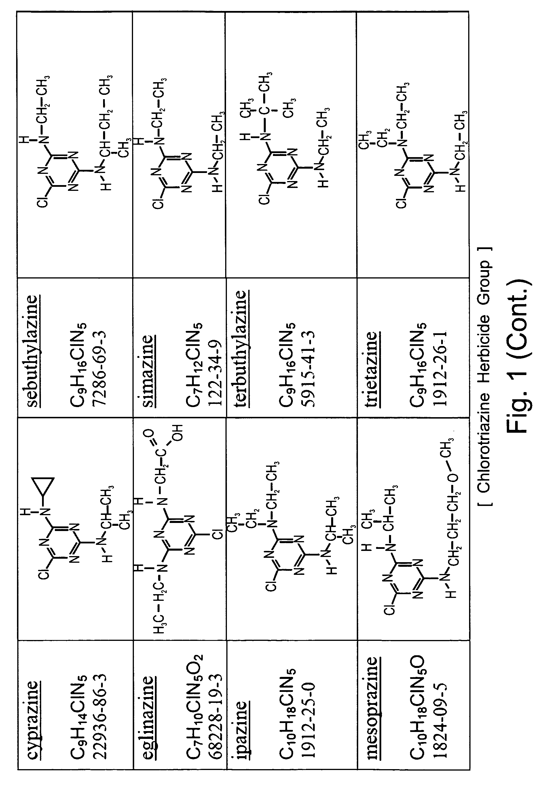 Catalytically Treating Water Contaminated With Halogenated Organic Compounds