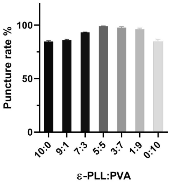 Needle tip liquid, microneedle patch as well as preparation method and application of microneedle patch