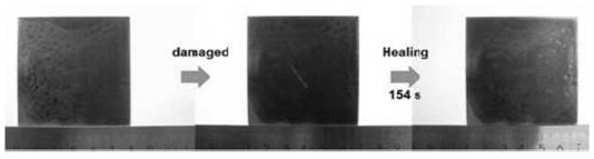 Sunlight-driven self-repairing coating, coating layer, and preparation method of coating layer