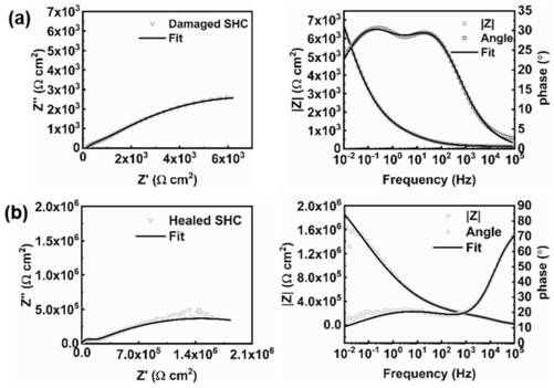 Sunlight-driven self-repairing coating, coating layer, and preparation method of coating layer