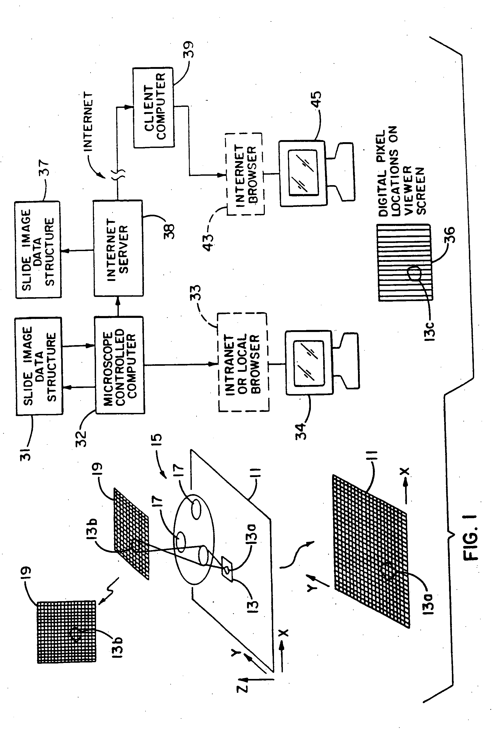 Method and apparatus for Internet, intranet, and local viewing of virtual microscope slides