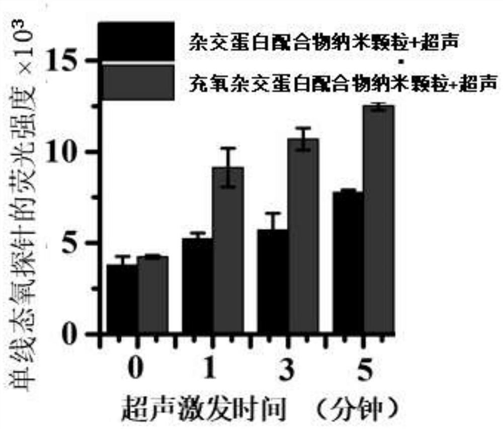 Preparation method and application of oxygen-carrying hybrid protein loaded metal complex nano-system