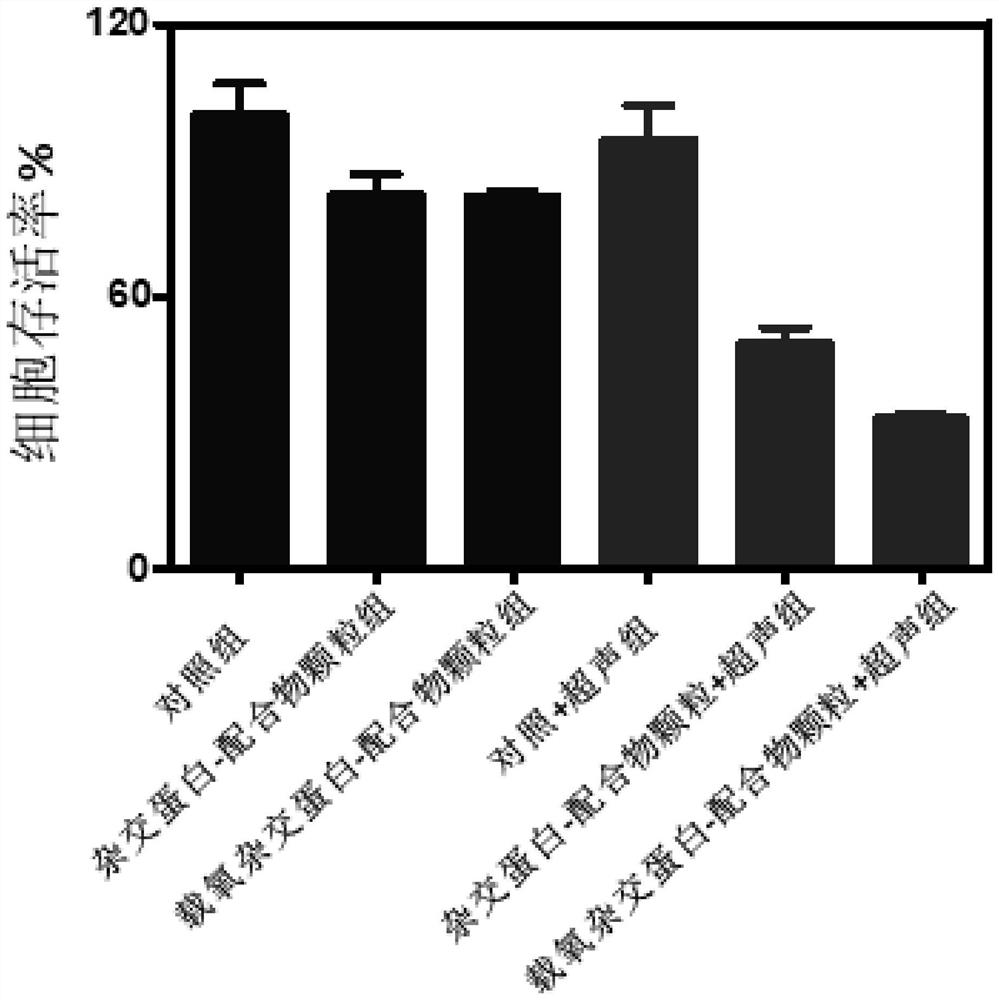 Preparation method and application of oxygen-carrying hybrid protein loaded metal complex nano-system