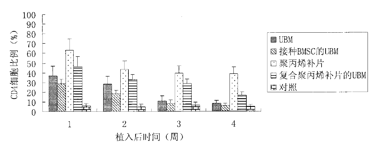 Biocomposite patch for female pelvic floor and manufacturing method thereof