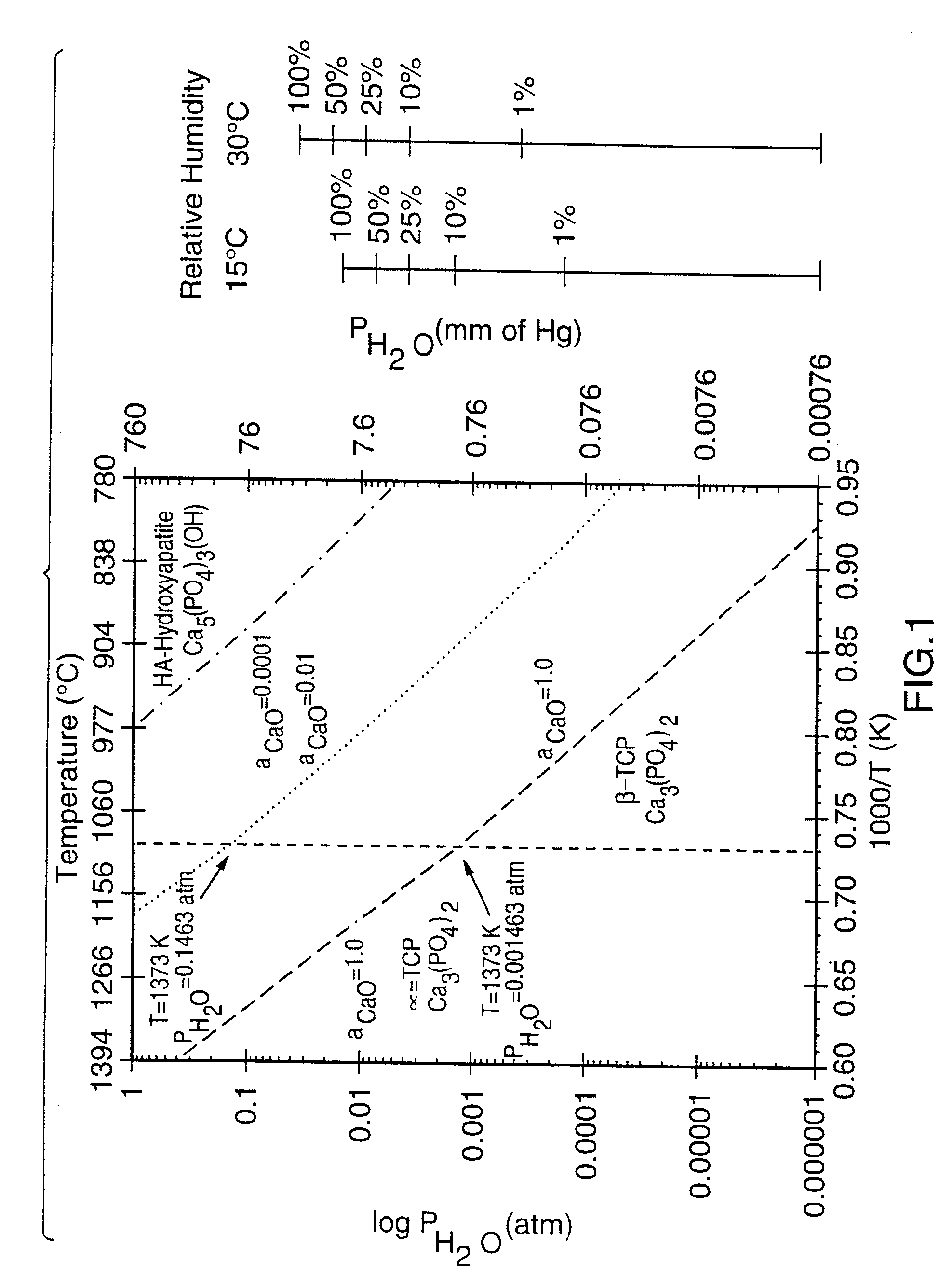 Artificial stabilized composition of calcium phosphate phases particularly adapted for supporting bone cell activity