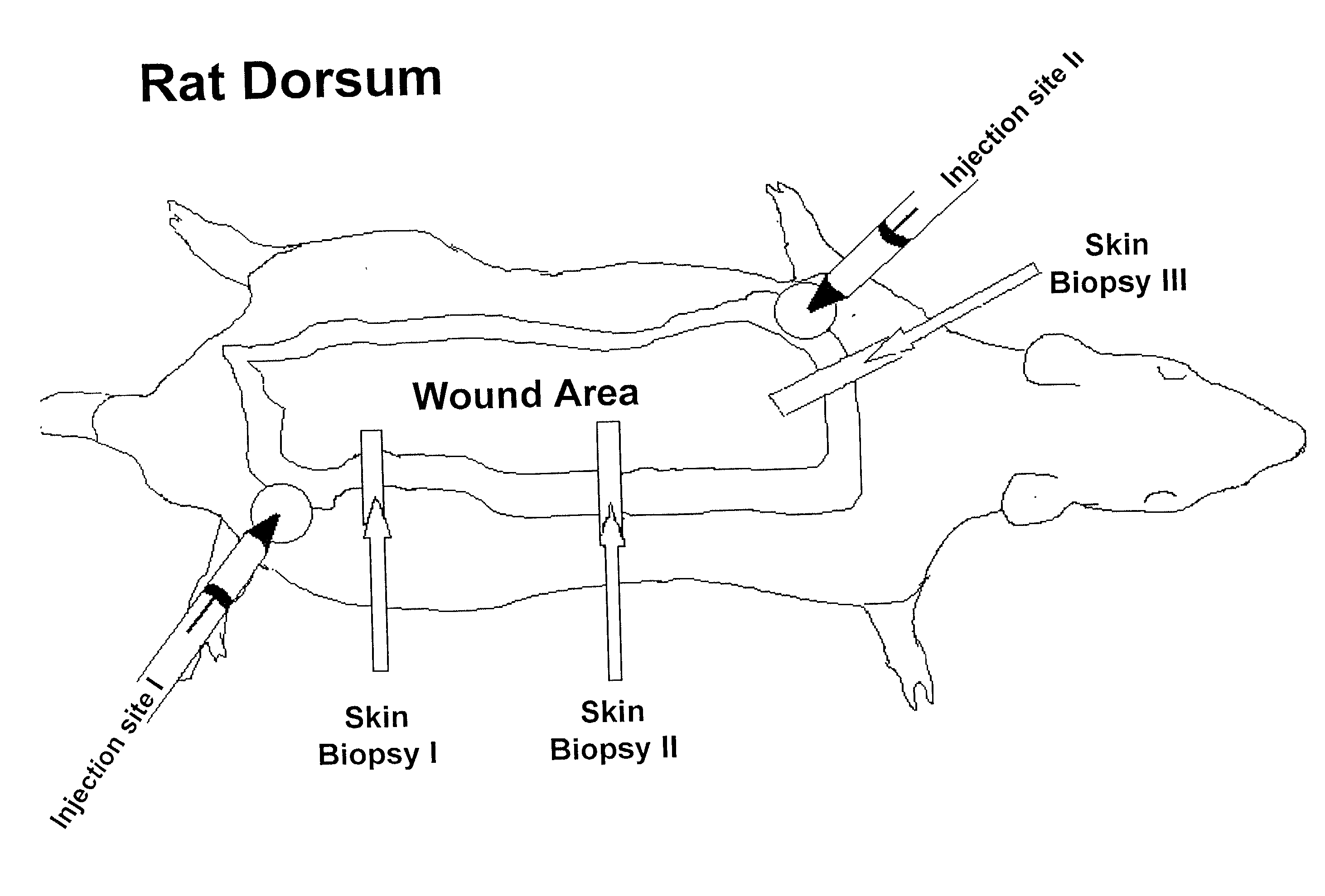 Methods to enhance wound healing and enhanced wound coverage material