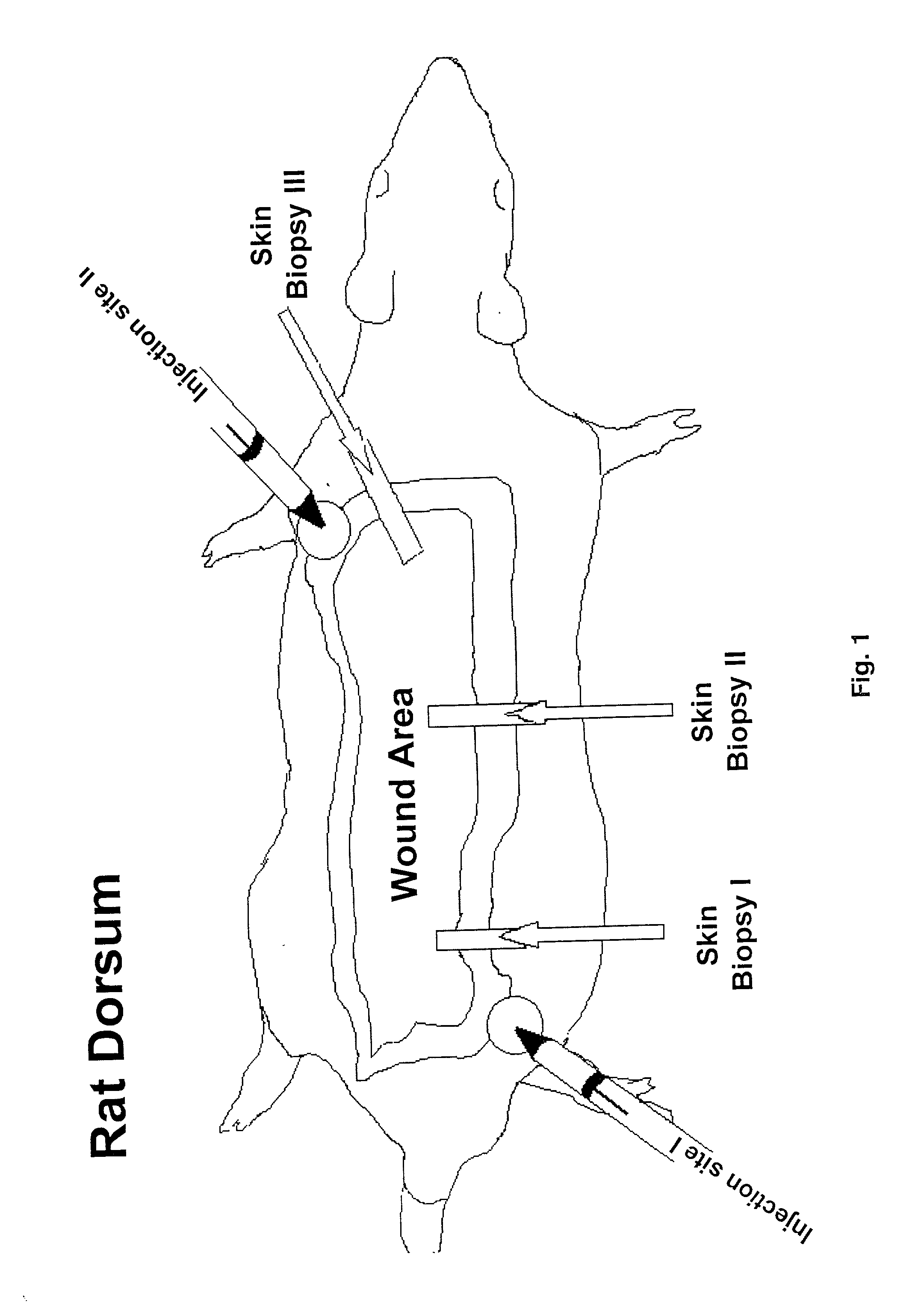 Methods to enhance wound healing and enhanced wound coverage material