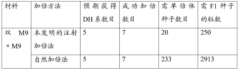 Method for doubling chromosome complement of maize haploid plant