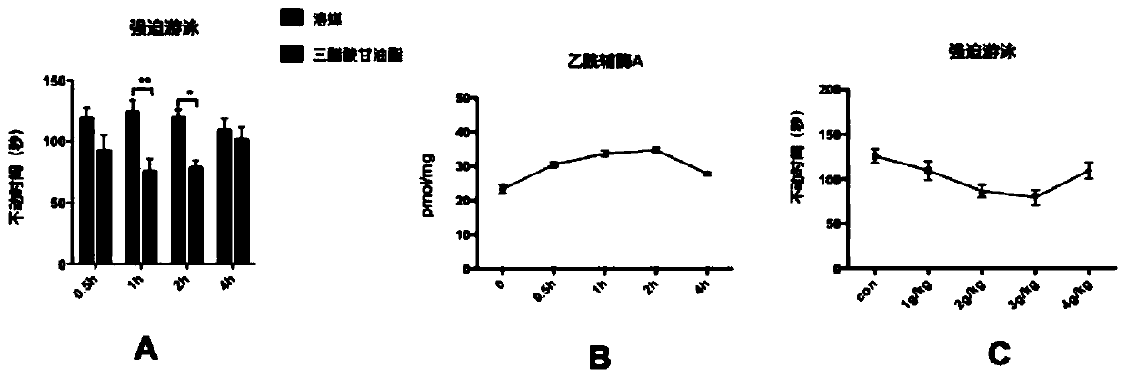 Application of glycerol triacetate to preparation of medicines for preventing and treating depression