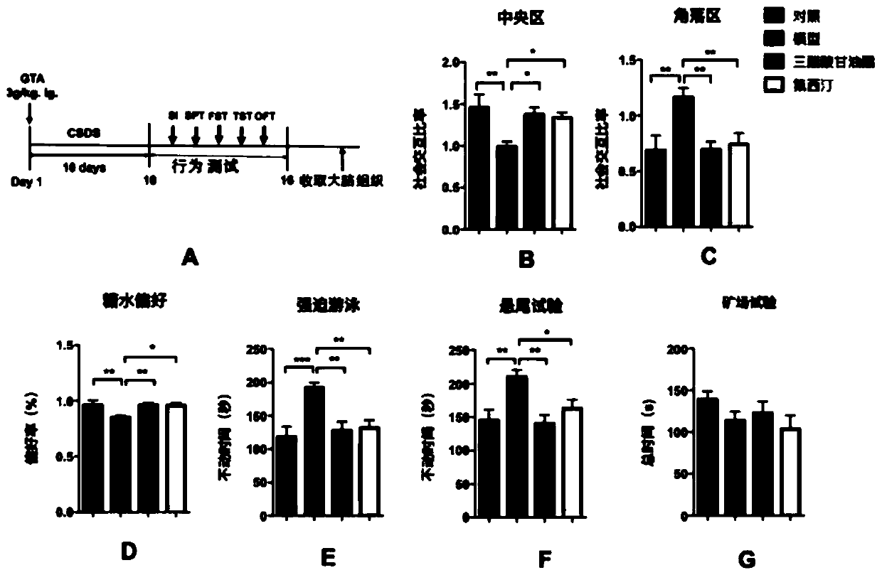 Application of glycerol triacetate to preparation of medicines for preventing and treating depression