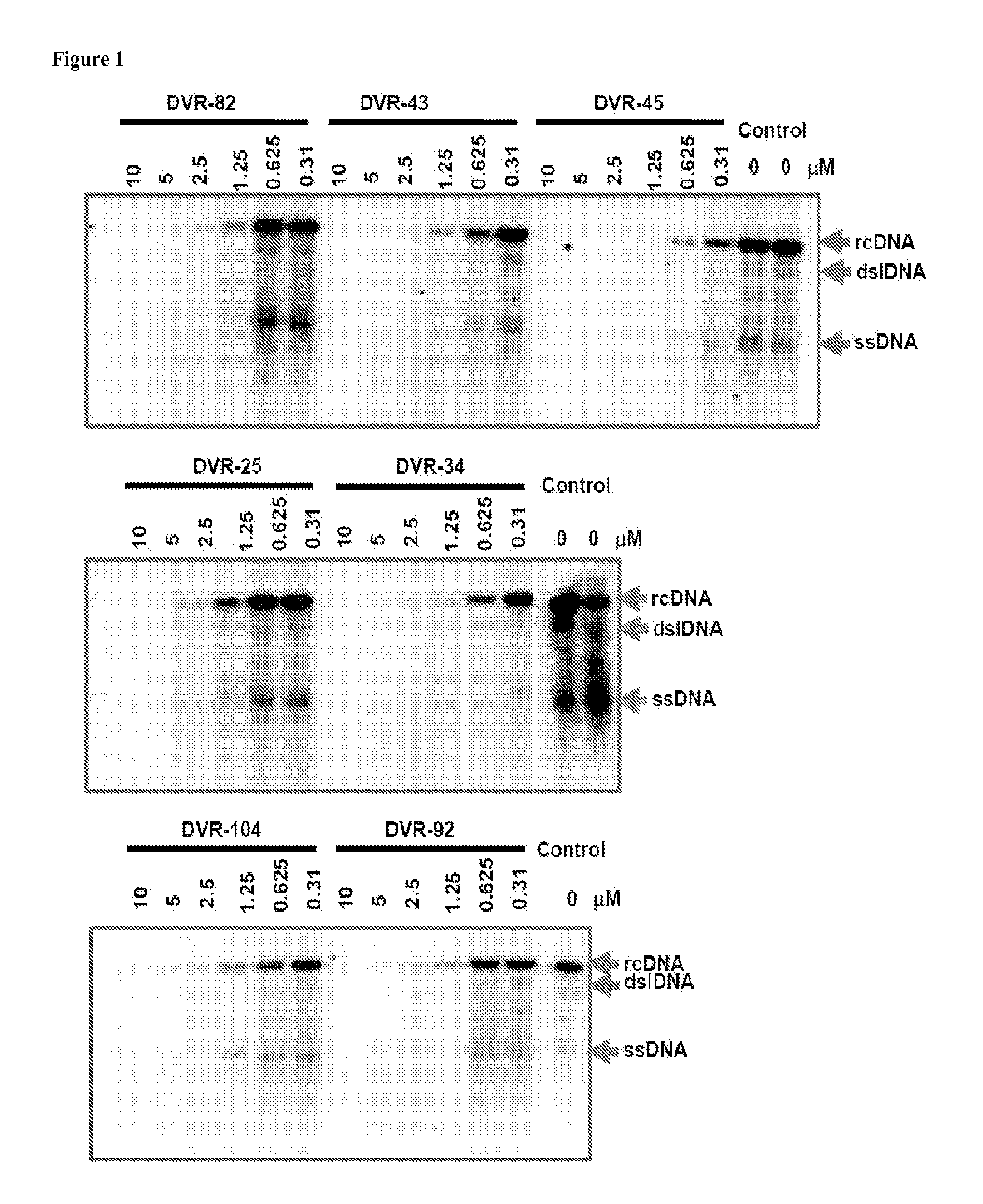 Sulfamoylbenzamide derivatives as antiviral agents against hbv infection