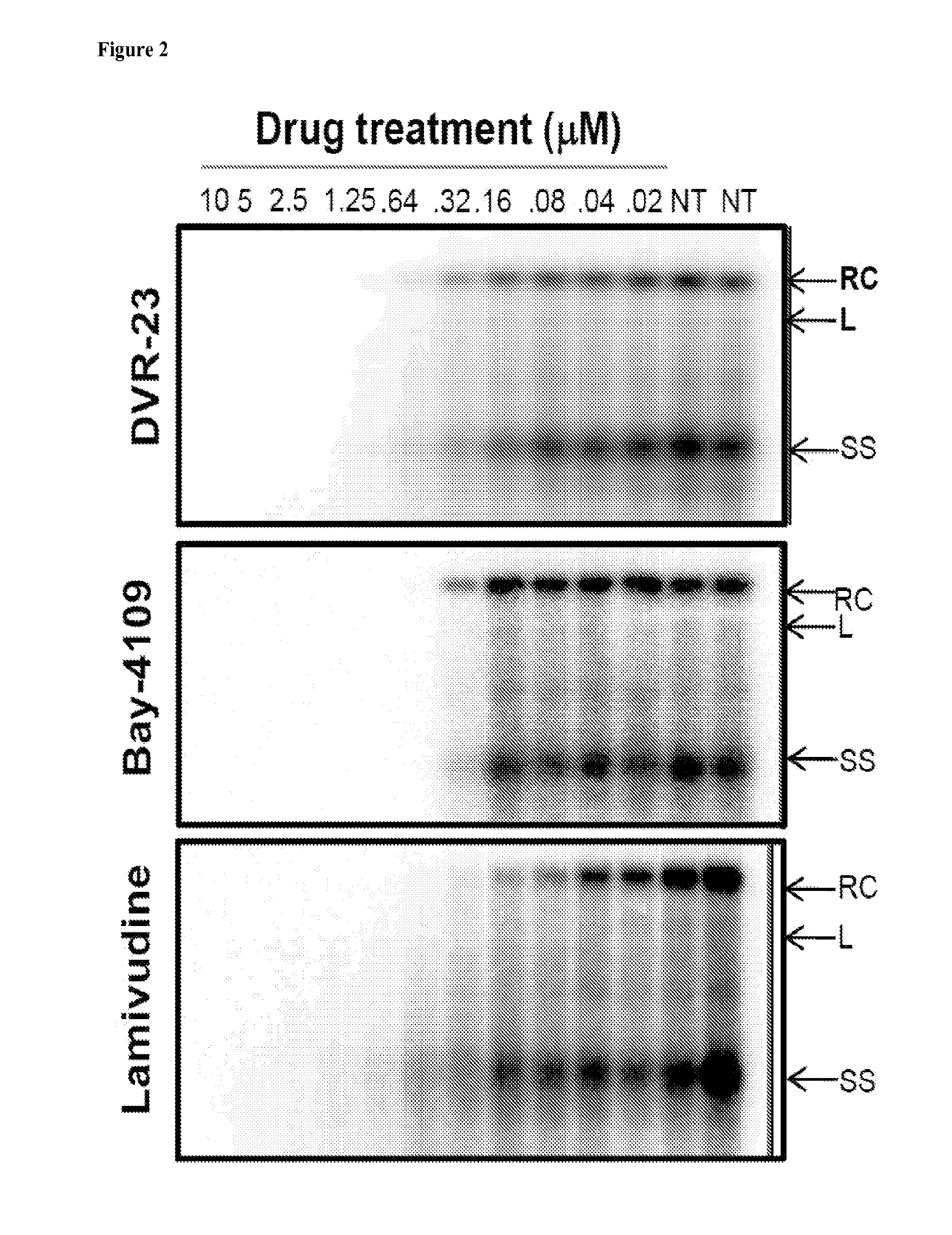 Sulfamoylbenzamide derivatives as antiviral agents against hbv infection