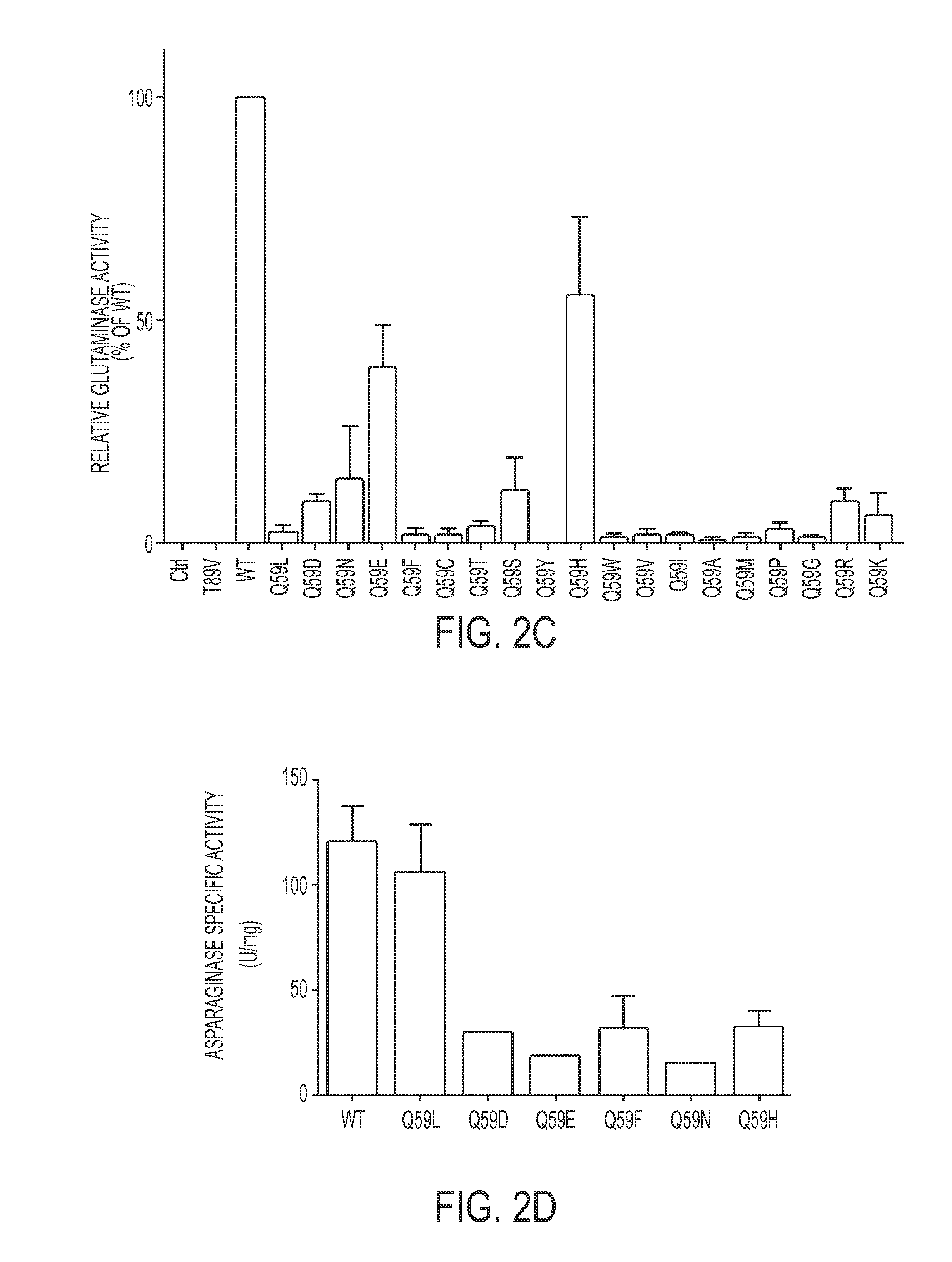 Therapeutic asparaginases