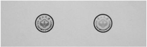 Fluorescent glass-ceramic for high-power lighting and display, preparation method and application thereof