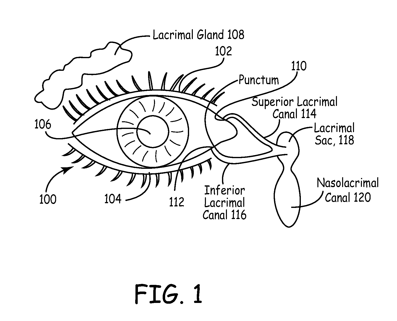 Drug delivery through hydrogel plugs