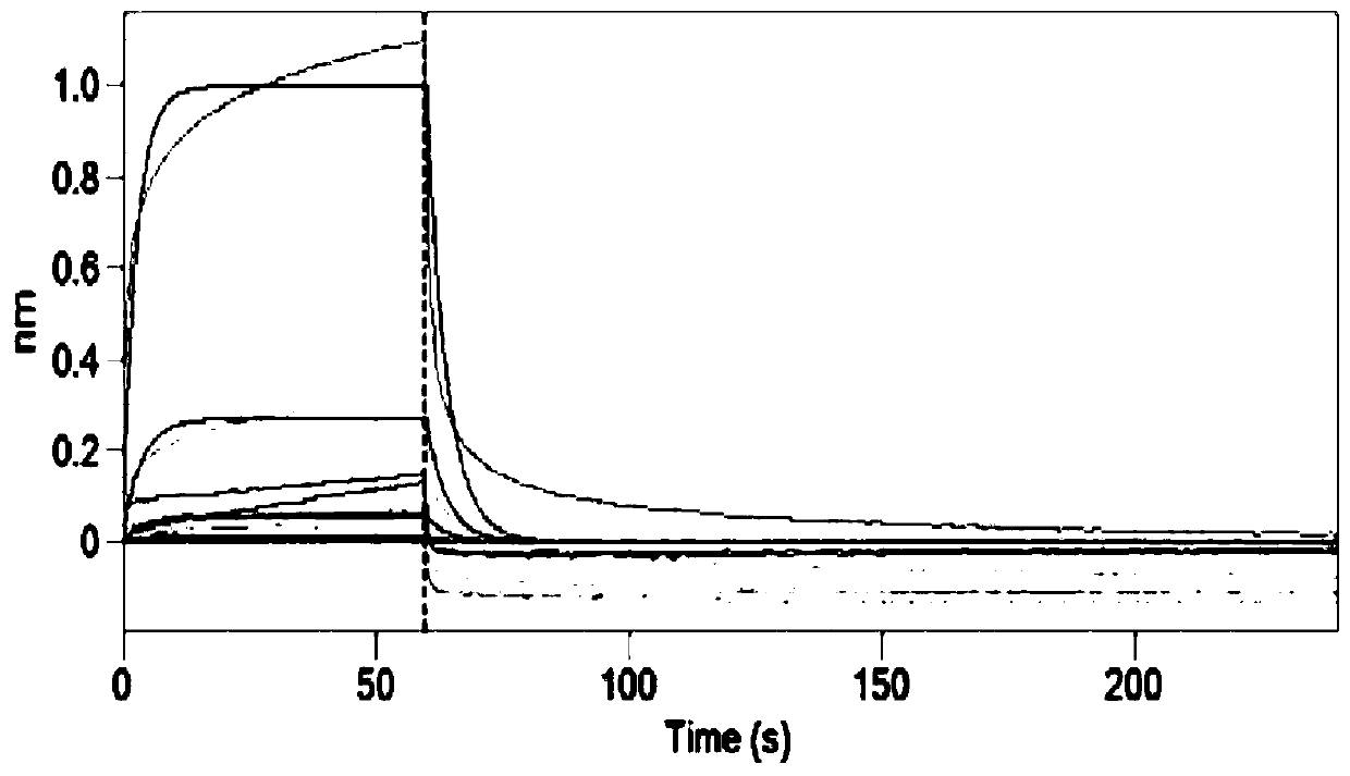 Application of Kukoamine in preparing anti-tumor drugs