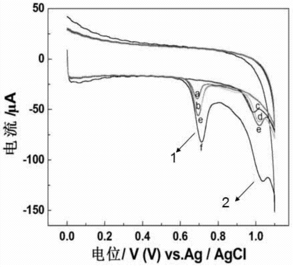 Electrochemical detection method for gene mutation of ribosyltransferase