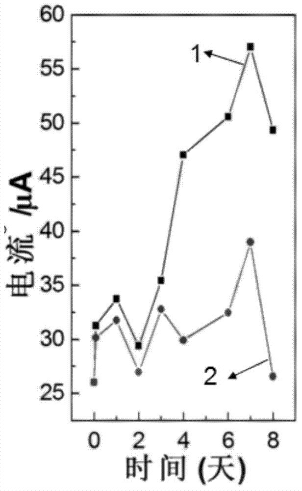 Electrochemical detection method for gene mutation of ribosyltransferase