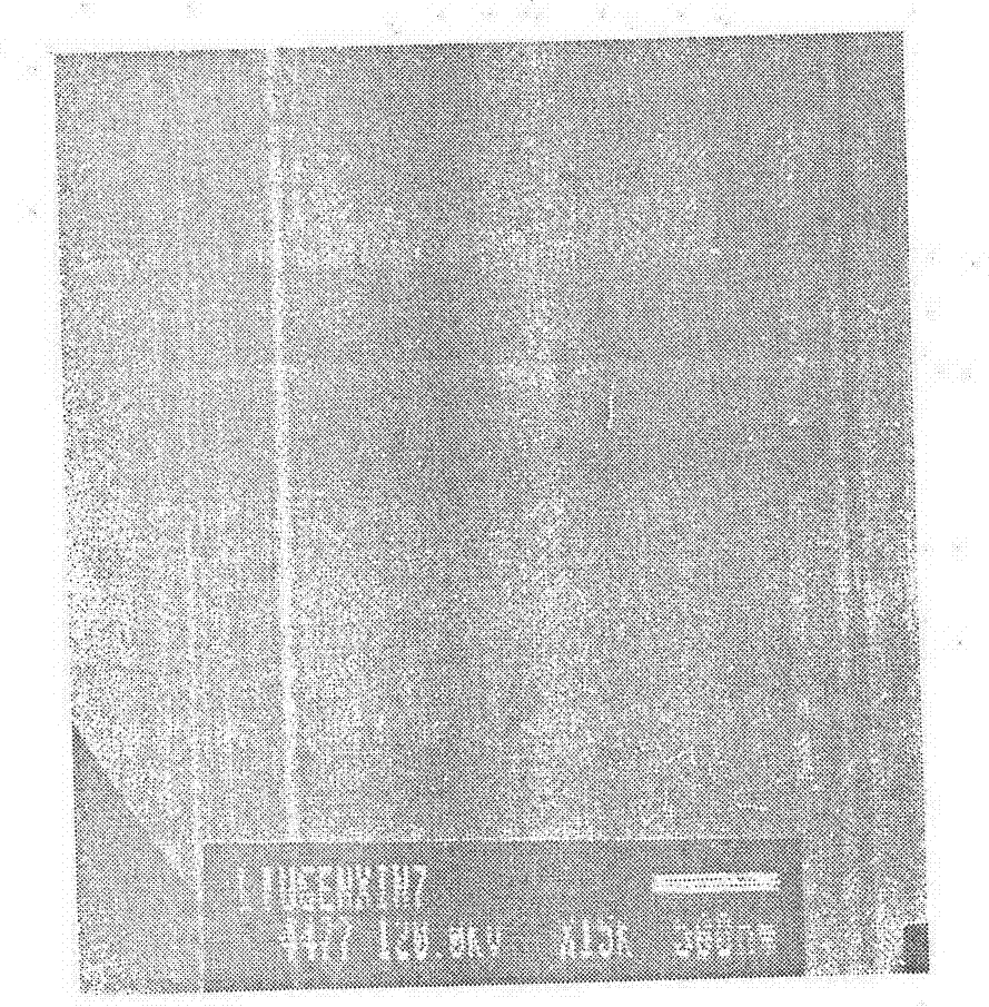 Sarah rhzomorph nano emulsion medicine composition and preparation method thereof