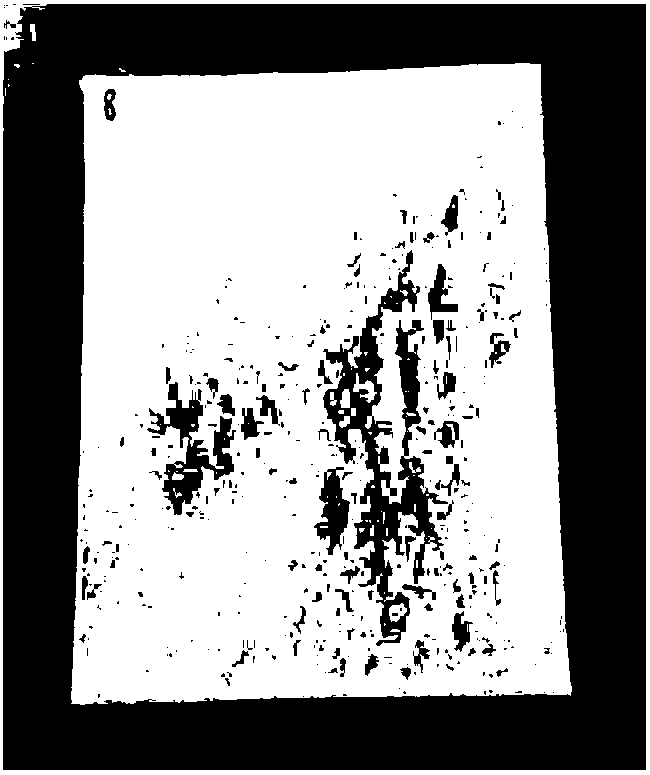 Ironing agent and preparation method thereof