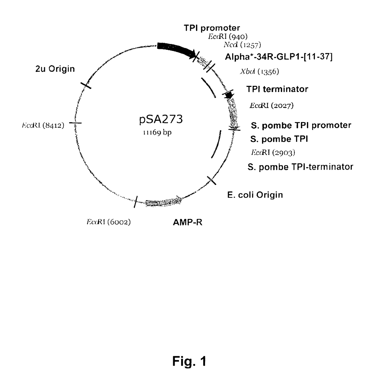 Semi-recombinant preparation of GLP-1 analogues