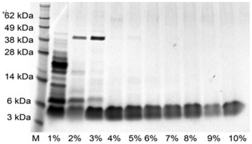 Expression vector of Hainan toxin-iv analog rhniv-01 and preparation method thereof