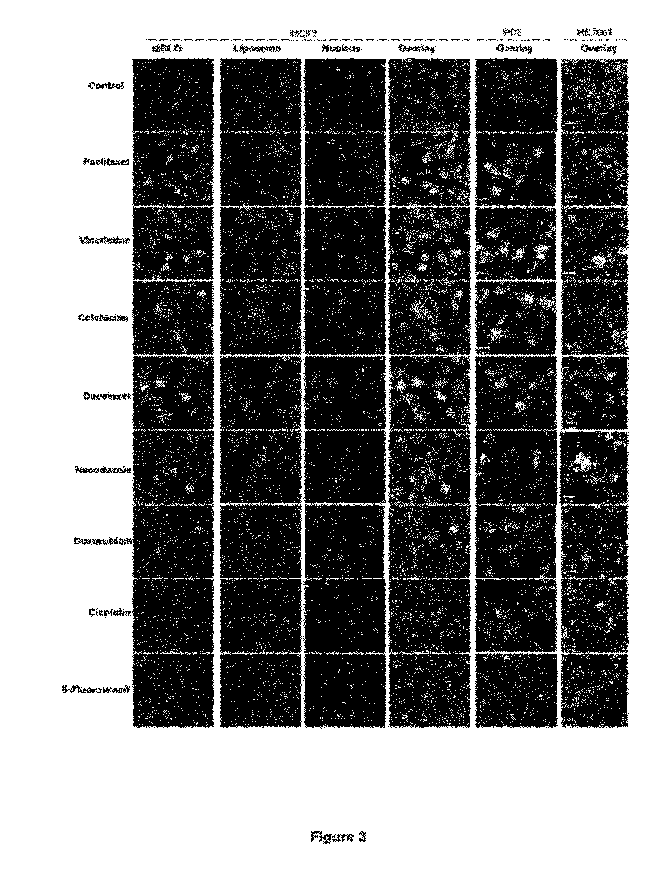 Methods and compositions for improved deliver, expression or activity of RNA interference agents