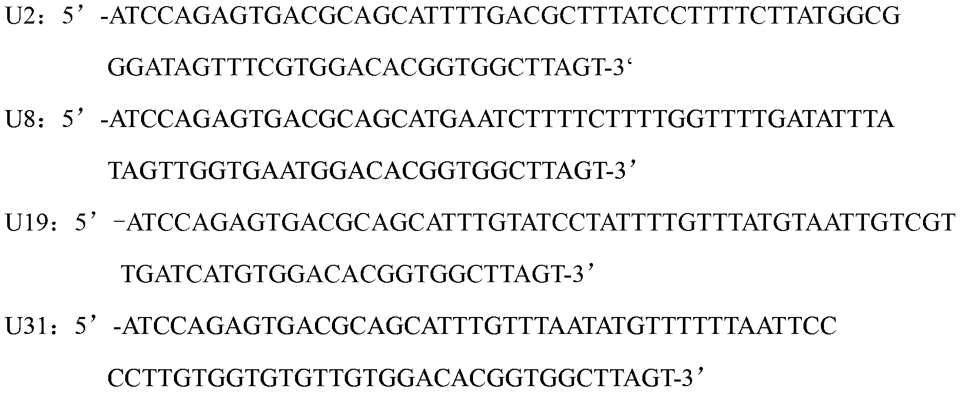 Nucleic acid aptamer specifically bound with human epidermal growth factor receptor III-type mutant and application of nucleic acid aptamer