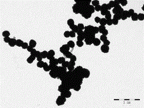 A kind of preparation method of silver phosphate-cadmium sulfide composite visible light photocatalyst