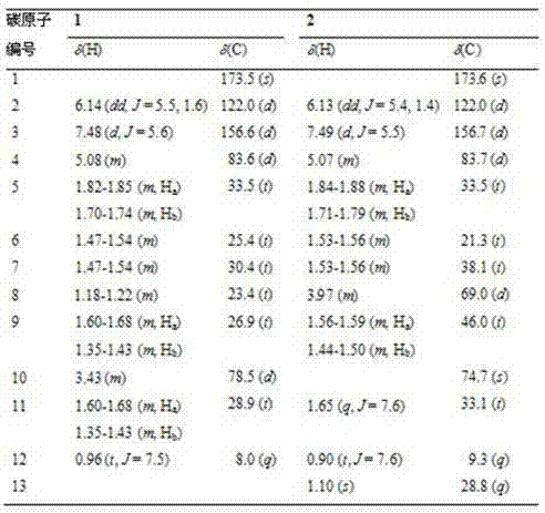 Butenolide metabolite and application thereof