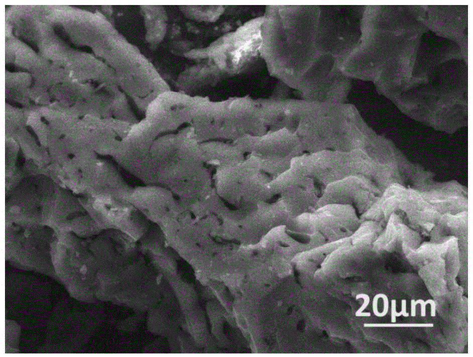 Method for preparing biomass activated carbon and application of biomass activated carbon to lithium sulfur batteries