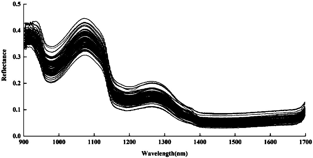 Method for quickly detecting chicken enterobacteriaceae content in online mode