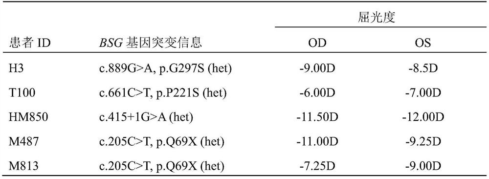 High myopia gene detection kit