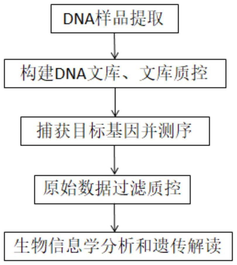 High myopia gene detection kit