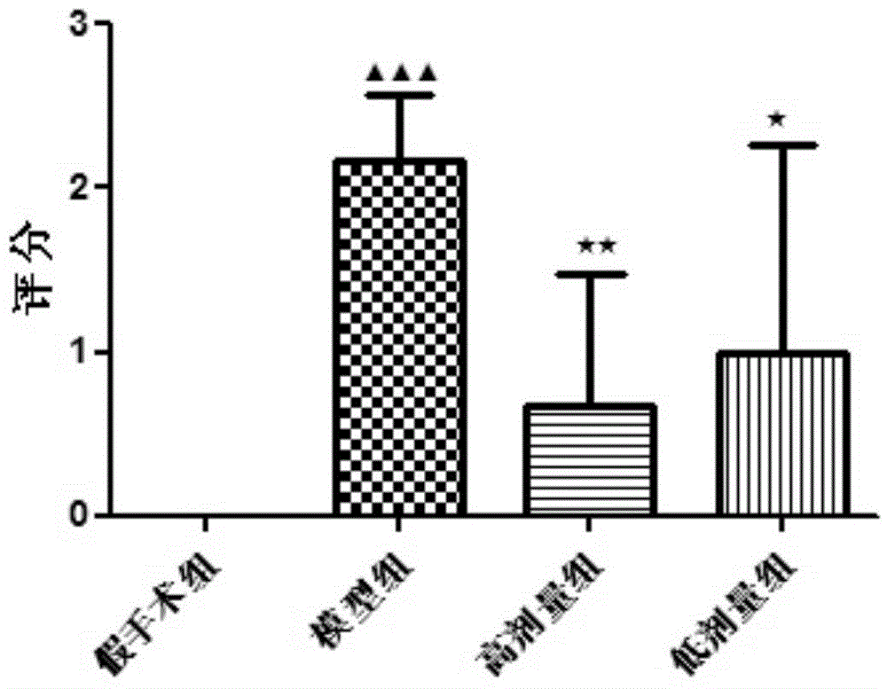 Application of 4-methoxybenzyl alcohol in preparation of blood-brain barrier protective medicine