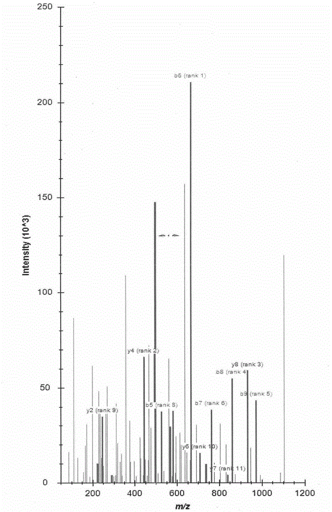 Novel method for quality control on polypeptide (oligopeptide) components in Shuxuetong injection