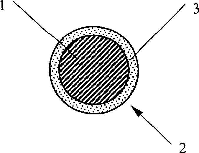 Internal cavitary and vessel stent with medicinal coating against spinal canal restenosis and production thereof