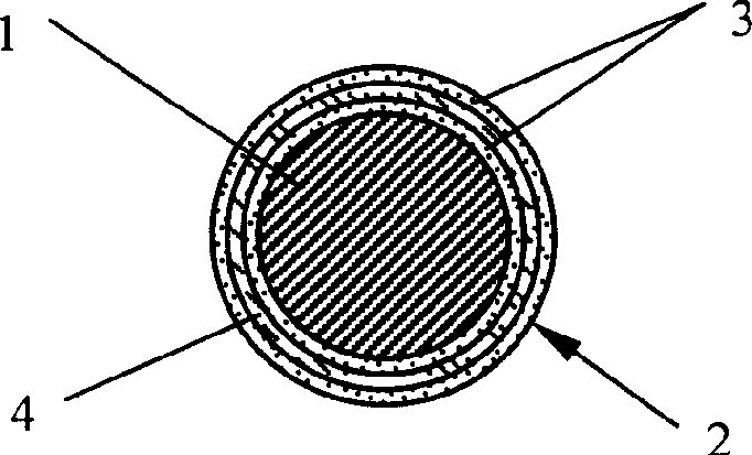 Internal cavitary and vessel stent with medicinal coating against spinal canal restenosis and production thereof