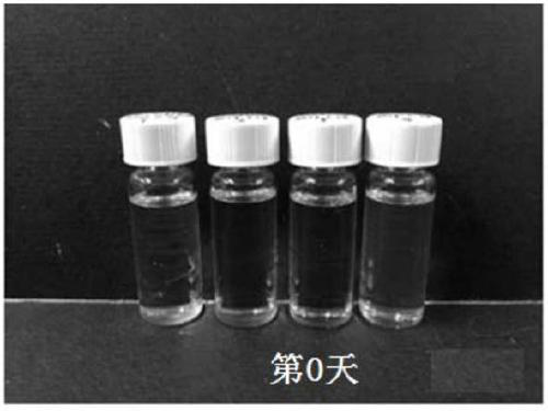 Zinc oxide nanoparticle stable solution, and zinc oxide-polymer nanocomposite stable solution, preparation method and applications thereof