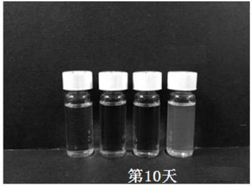 Zinc oxide nanoparticle stable solution, and zinc oxide-polymer nanocomposite stable solution, preparation method and applications thereof