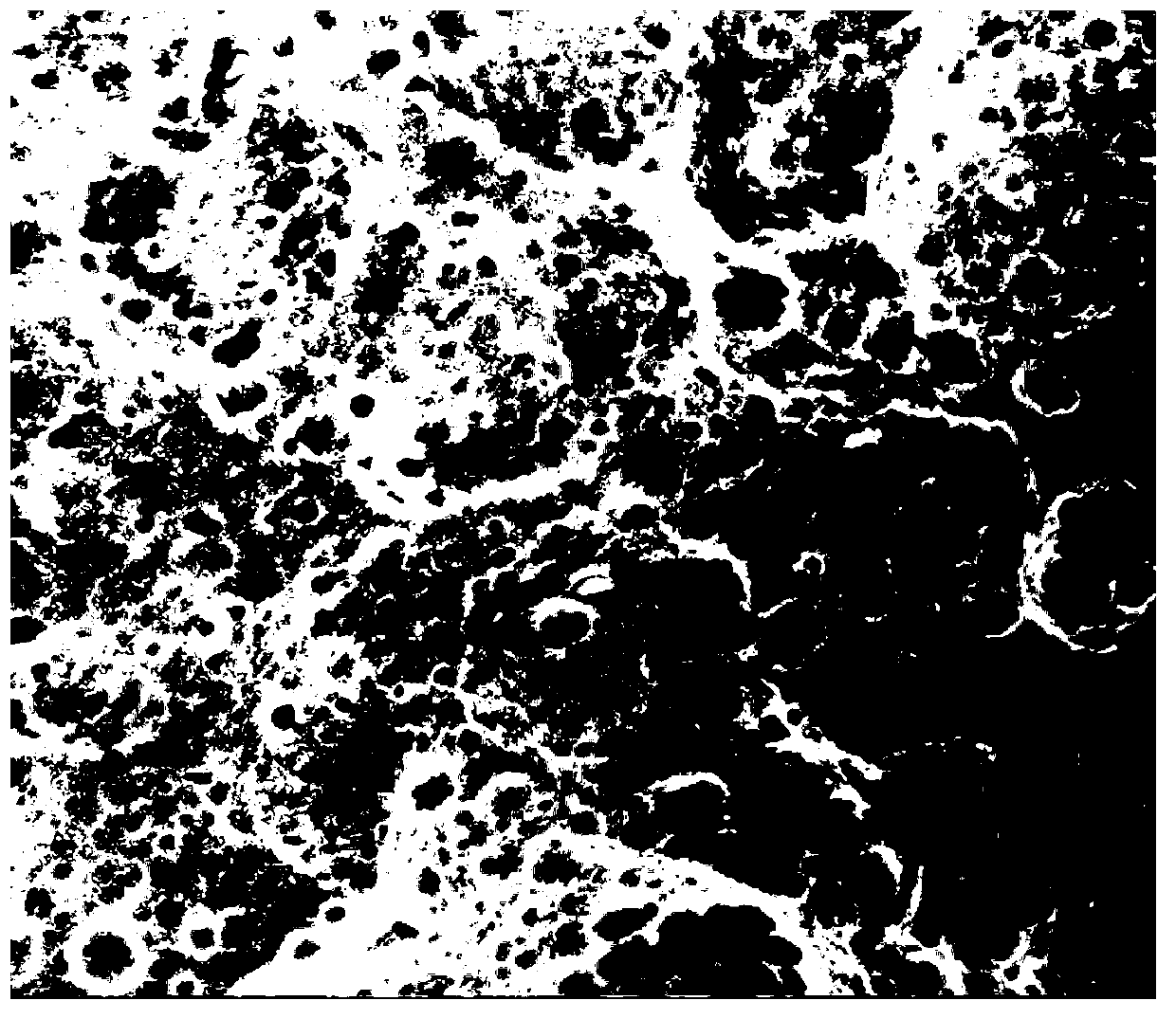 Micro-nano processing method for aluminum/aluminum alloy surface and aluminum/ aluminum alloy structure